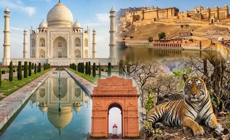 Golden Triangle Ranthambore tiger safari package